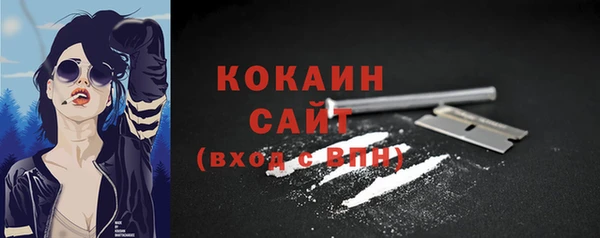 твердый Елизово