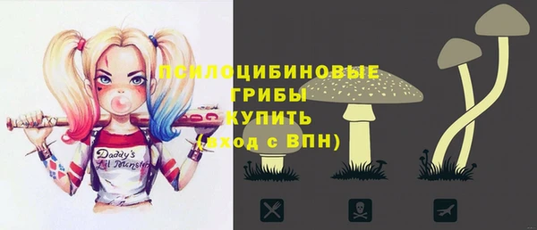 тгк Елабуга