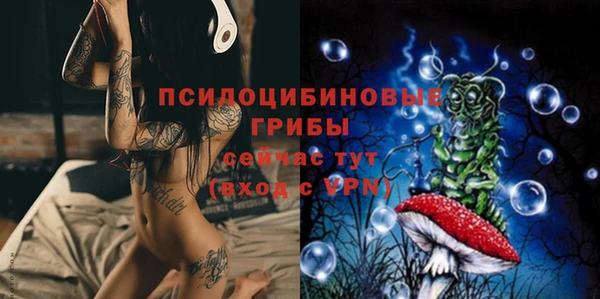 тгк Елабуга