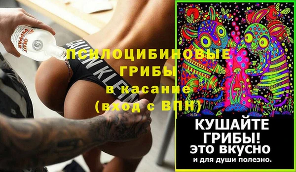 твердый Елизово