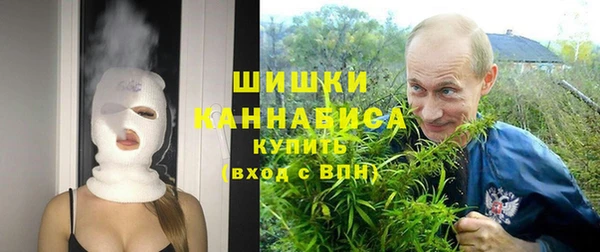 прущая мука Ельня