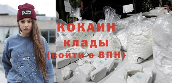 прущая мука Ельня