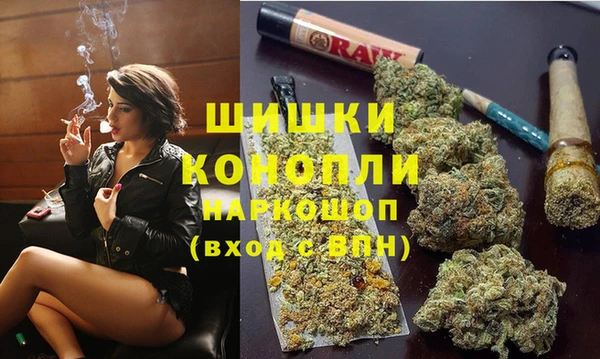 PSILOCYBIN Заводоуковск