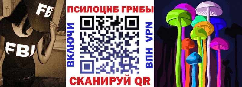 Купить закладки Заполярный Псилоцибиновые грибы мицелий