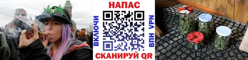 Конопля семена  Купить где  Заполярный 